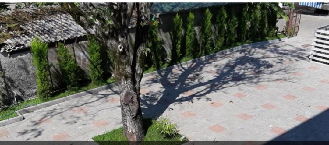 Sunny Days Hotel Kobuleti Exterior photo